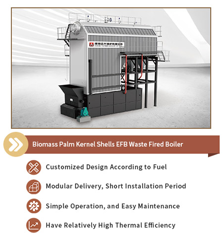 palm kernel shells boiler,biomass steam boiler,palm oil mill boiler