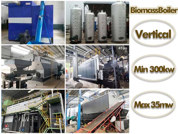 biomass heating boiler,biomass hotwater boiler,china biomass boiler