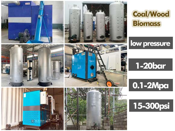 low pressure coal boiler,low pressure wood boiler,low pressure biomass boiler