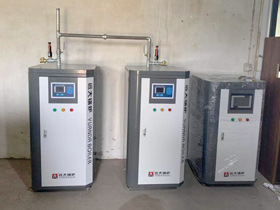 Electric steam generator,gas steam generator, pellets steam generator