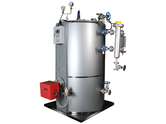 Caldera de Vapor /Agua Caliente