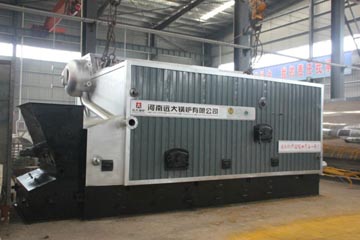 biomass steam boiler