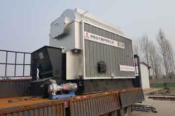 dzl steam boiler