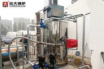 Vertical steam boiler 