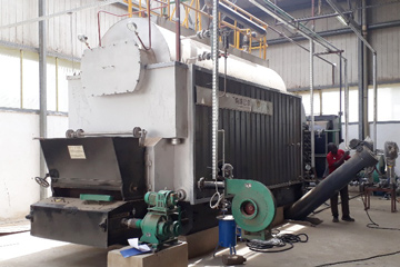 4ton/hour Biomass Fired Steam Boiler