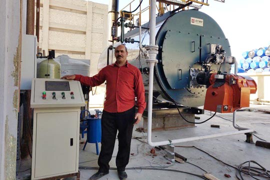 4 ton Gas Fired Steam Boiler