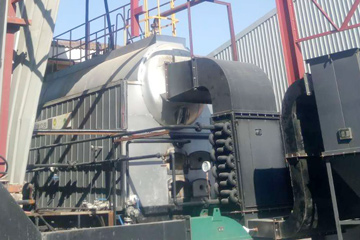 DZL4-1.5-T Biomass fired boiler