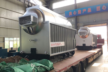 1Ton DZH Model Biomass Fired Boilers