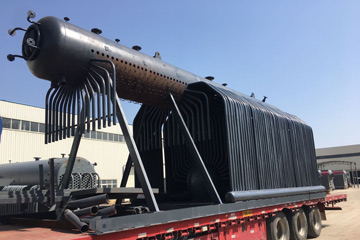 SZL 12Ton Water Tube Biomass Steam Boiler
