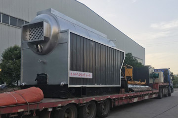 DZH 4Ton Coal Biomass Wood Waste Fired Steam Boiler