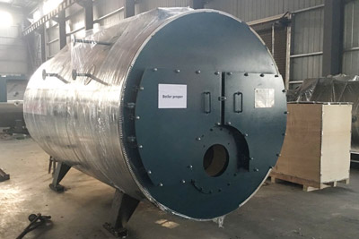 gas steam boiler