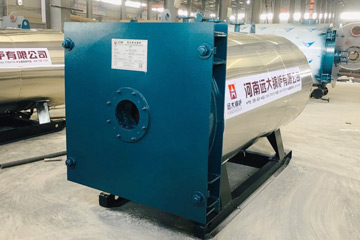 WNS hot water boiler