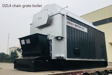 Coal chain grate boiler
