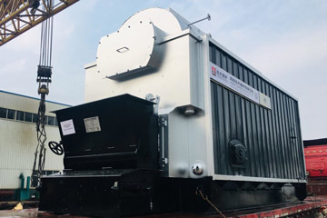 DZL coal steam boiler