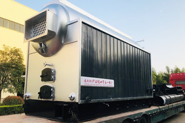 dzl biomass steam boiler 4ton,chain grate biomass boiler,4ton dzl boiler