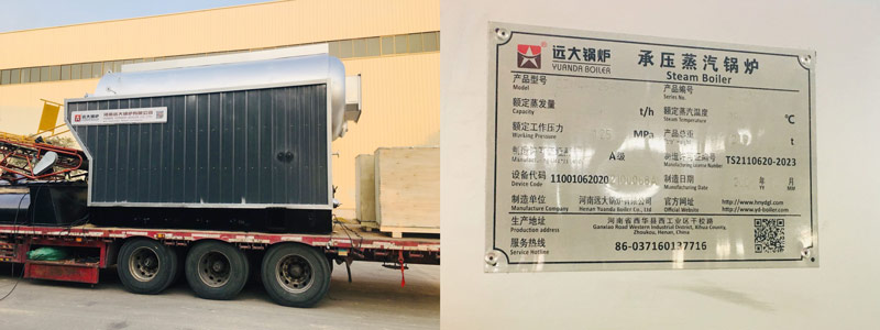 dzh biomass boiler,dzh4-1.25-T,industrial biomass boiler