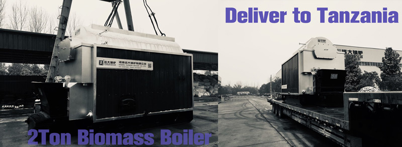 dzl boiler,biomass steam boiler,dzl chain grate boiler