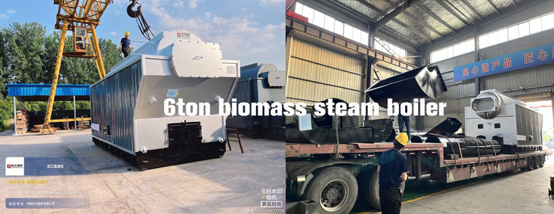 dzh biomass boiler bangladesh,dzh 6ton biomass boiler,dzh wood biomass boiler