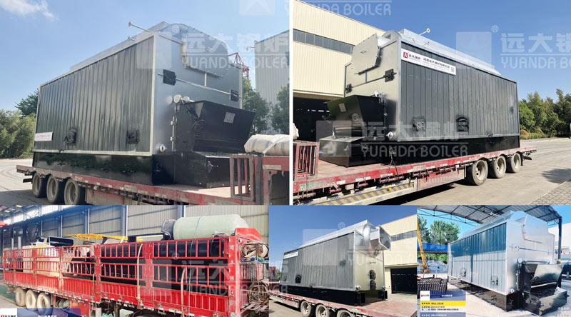 dzl boiler,chain grate coal boiler,coal stoker boiler