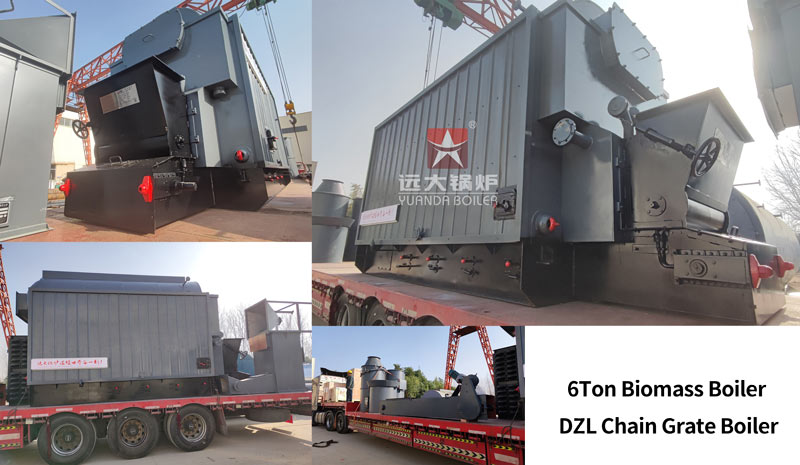 indonesia biomass boiler,indonesia steam boiler,6ton coal biomass boiler indonesia