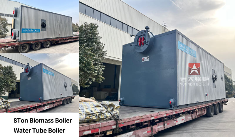 8ton cashew nut steam boiler,biomass fired boiler,cashew nut biomass boiler
