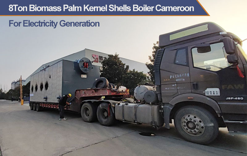 8ton plam kernel shells boiler,8ton biomass boiler,8ton steam boiler