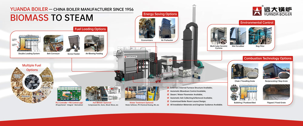 biomass boiler,china steam boiler,palm kernel shell boiler