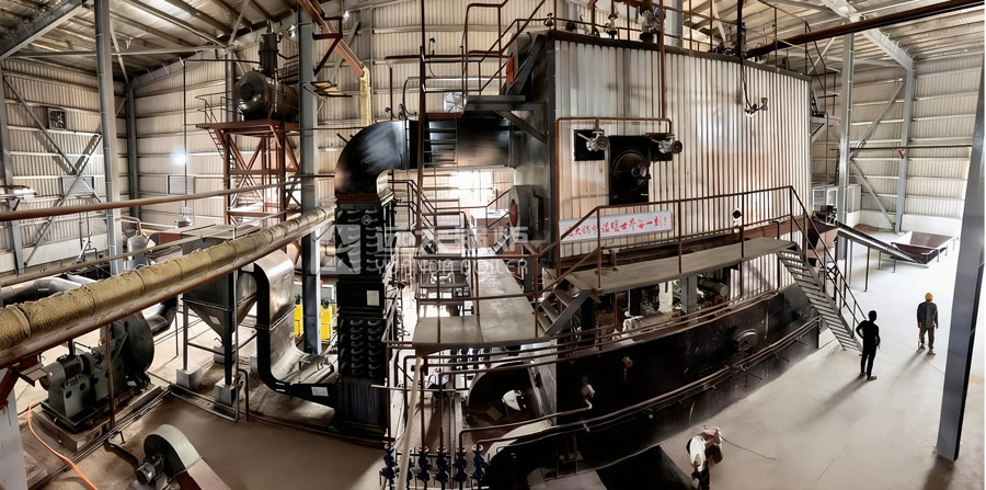 industrial biomass boiler,chain grate boiler,biomass boiler system