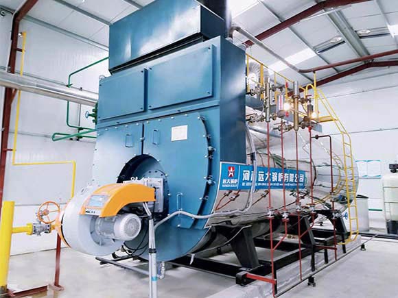 Condensing Steam Boiler 