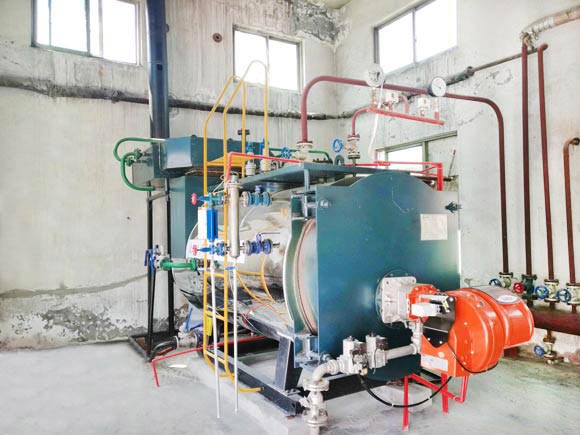 Condensing Steam Boiler 