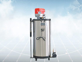 LSS Gas Steam Generator, Diesel Steam Generator,natural gas steam generator