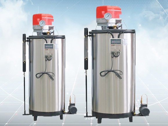LSS Gas Steam Generator, Diesel Steam Generator