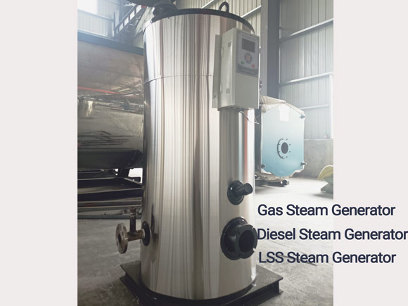 lpg steam generator,gas steam generator,small gas steam generator