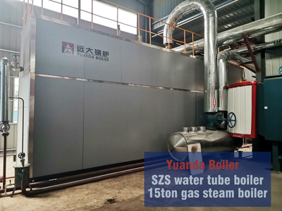 15ton gas steam boiler