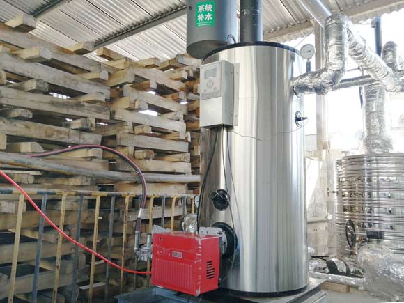 vertical diesel boiler, small diesel boiler