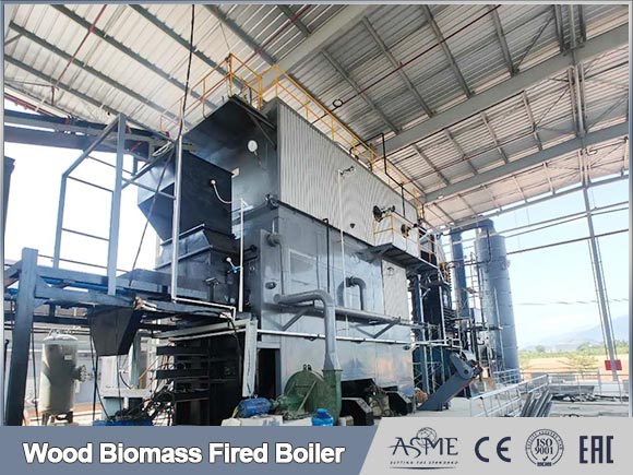 water tube biomass boiler,biomass hot water boiler,china biomass boiler