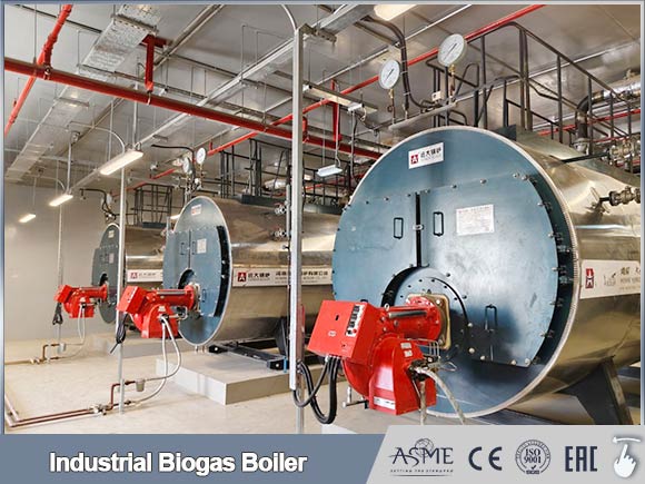 Industrial biogas fired steam boiler for large scale steam generation