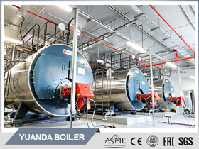 industrial biomass boiler,biogas methane boiler,biogas steam boiler