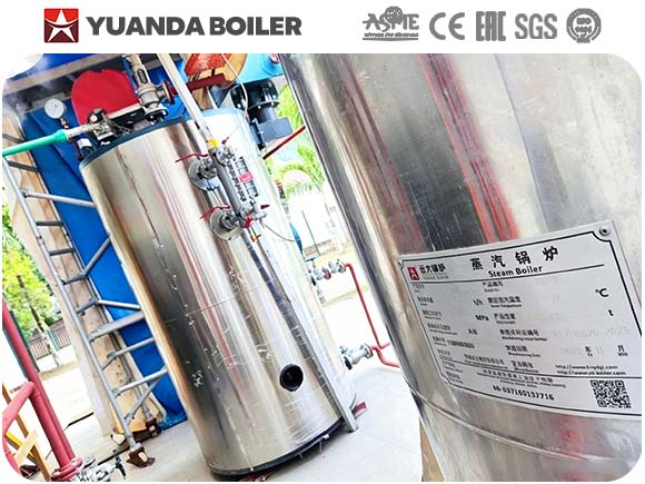 auto gas steam generator,auto diesel steam generator,china gas steam generator