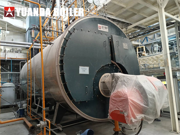 15Ton Fire Tube Gas Boiler WNS Steam Boiler In Thailand