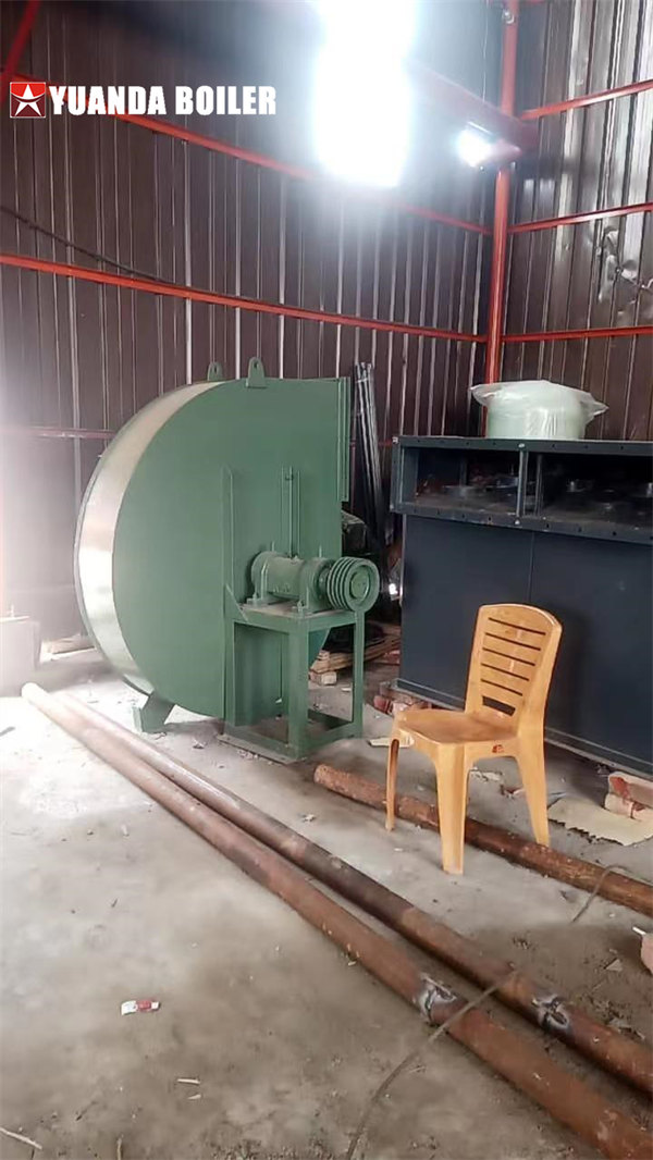 DZL 6Ton Chain Grate Coal Boiler Installation Work