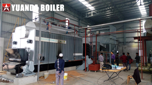 DZL 6Ton Coal Steam Boiler For Rice Parboiling & Drying In Rice Mill Bangladesh
