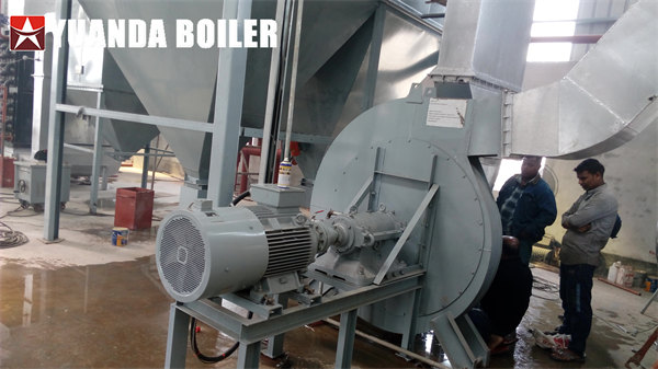 DZL 6Ton Coal Steam Boiler For Rice Parboiling & Drying In Rice Mill Bangladesh