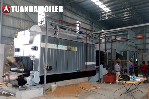 DZL 6Ton Coal Steam Boiler For Rice Parboiling & Drying In Rice Mill Bangladesh