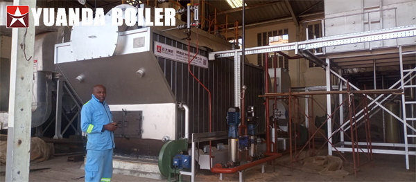 Tea Factory Use 6Ton Manual Wood Steam Boiler DZH Series Travelling Grate Boiler