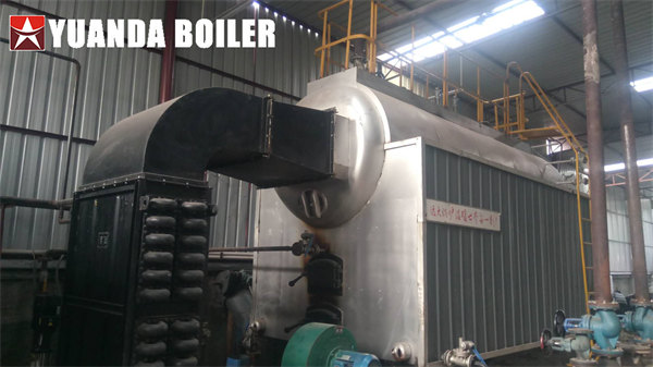 Chain Grate Steam Boiler 4Ton/Hr Biomass Boiler