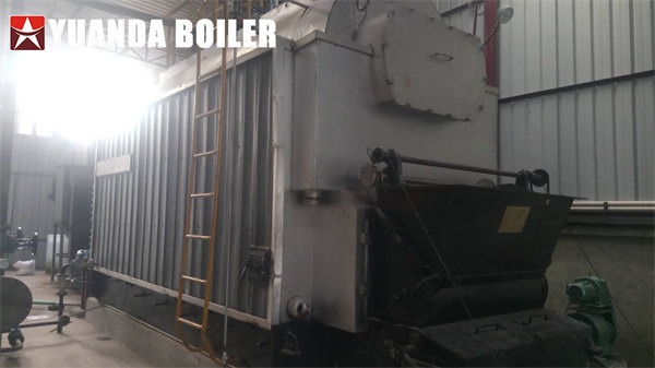 Chain Grate Steam Boiler 4Ton/Hr Biomass Boiler