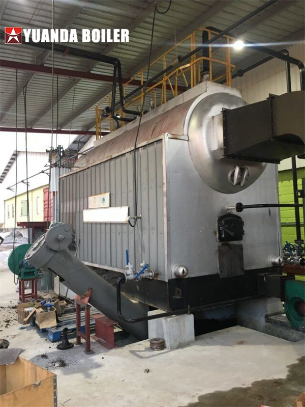 DZL Series Biomass Steam Boiler 4000kg Installation & Operation