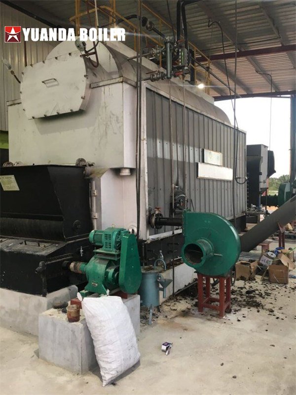 DZL Series Biomass Steam Boiler 4000kg Installation & Operation