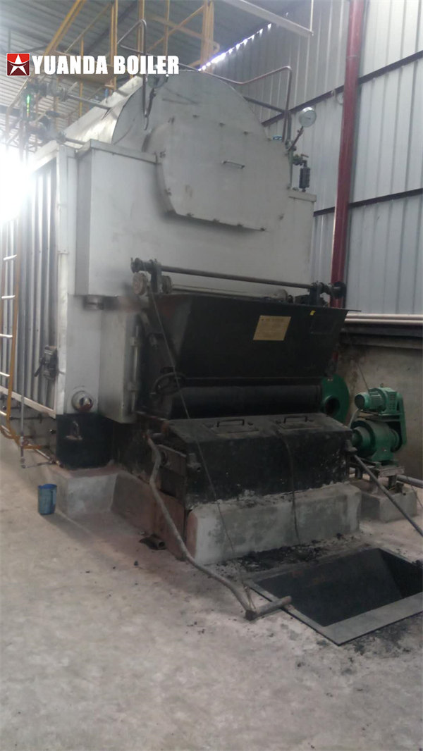 DZL Biomass Boiler dzl4 Steam Boiler For Cardboard Factory Bangladesh